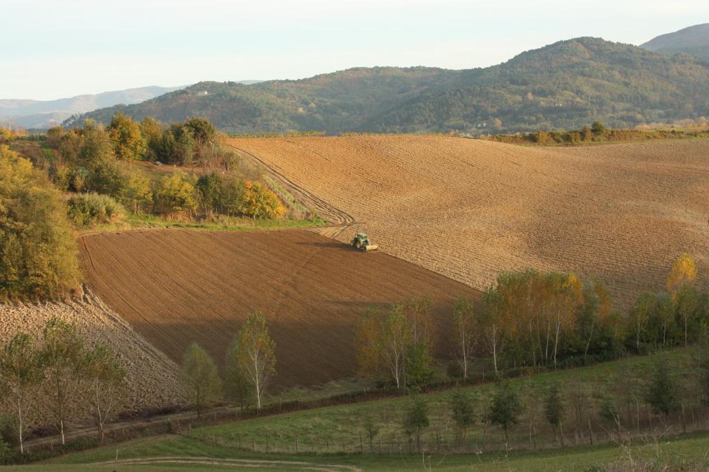 Agriturismo La Colombaia Villa Vicchio Esterno foto