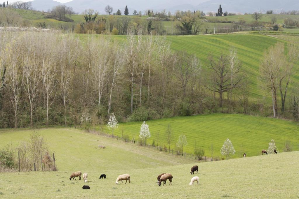 Agriturismo La Colombaia Villa Vicchio Esterno foto