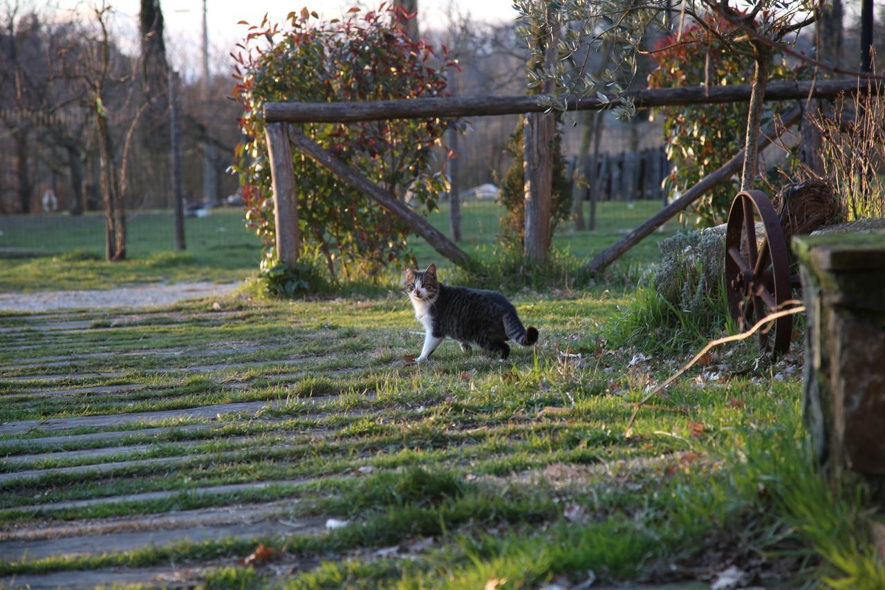 Agriturismo La Colombaia Villa Vicchio Esterno foto